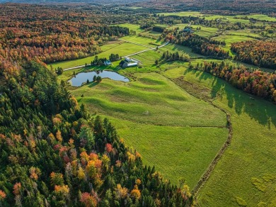 Lake Home For Sale in Potton,