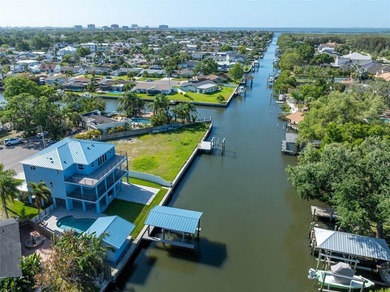 OWNER FINANCING AVAILABLE. Luxurious elevated waterfront living - photo 1