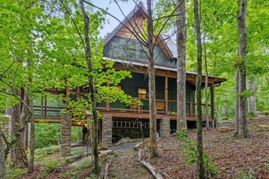 Riverfront Craftsman Retreat on the Middle Fork of Little River - photo 13