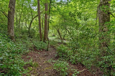 Riverfront Craftsman Retreat on the Middle Fork of Little River - photo 21