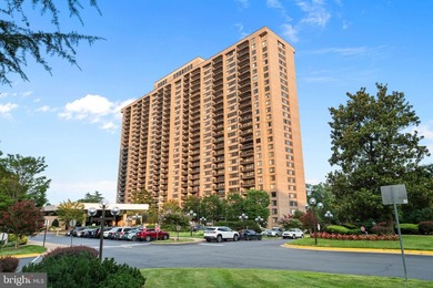 A rare opportunity at Skyline Plaza, this expansive 9th-floor - photo 33