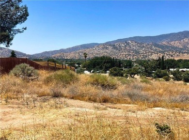 Unlock the potential of this expansive 10,018 sq ft parcel - photo 2