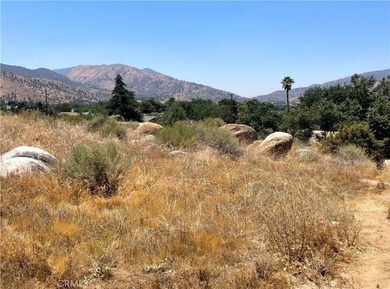 Unlock the potential of this expansive 10,018 sq ft parcel - photo 3