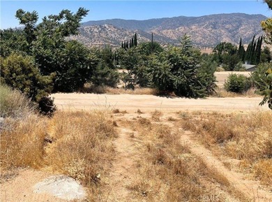 Unlock the potential of this expansive 10,018 sq ft parcel - photo 4
