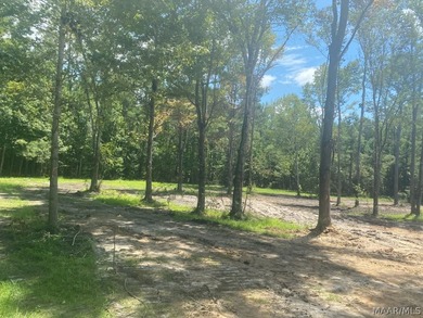 Additional listing photo 1