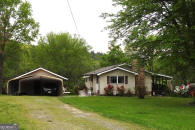  Home For Sale in Mineral Bluff Georgia