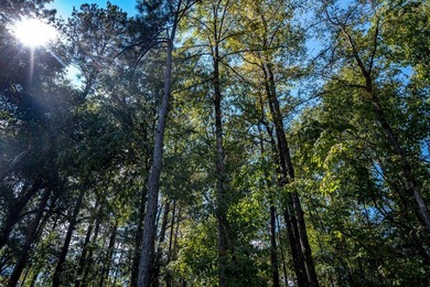 Build Your Dream in Creekrise! This is a rare opportunity for - photo 3