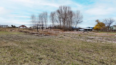 Fantastic Five acre property with newly remodeled home! Flathead - photo 28