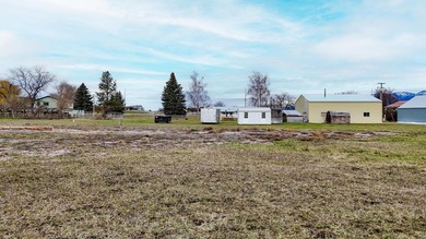 Fantastic Five acre property with newly remodeled home! Flathead - photo 29
