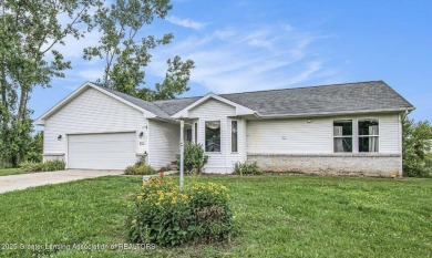 Lake Home For Sale in Dimondale, Michigan