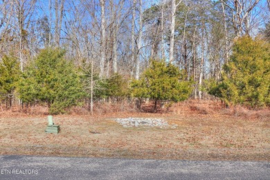 This wooded and private homesite is in Grande Vista Bay, a Watts - Lake Lot For Sale in Rockwood, Tennessee