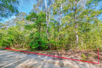 This beautiful lot offers over half an acre of wooded privacy - photo 11