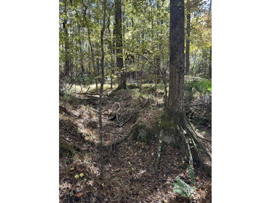 Beautiful sloping residential lot in the Southwind section of