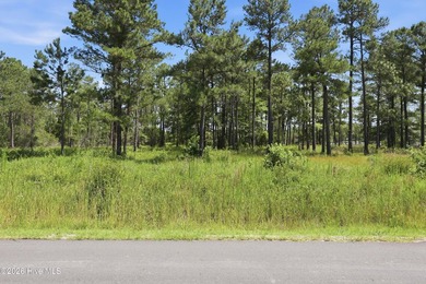 Amazing opportunity to own 2.29 acres of waterfront property in - photo 3