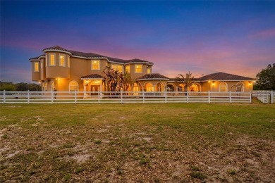 (private lake, pond, coastal) Home For Sale in Groveland Florida