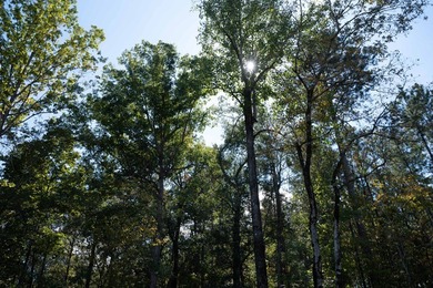 Build Your Dream in Creekrise! This is a rare opportunity for - photo 5