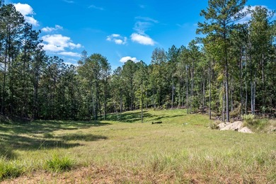 Build Your Dream in Creekrise! This is a rare opportunity for - photo 7