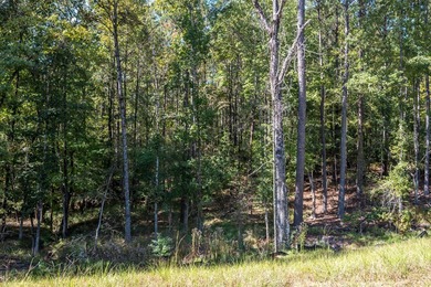 Build Your Dream in Creekrise! This is a rare opportunity for - photo 8