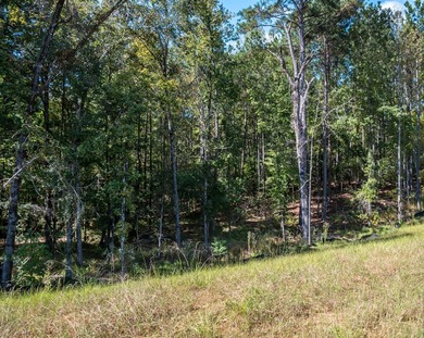 Build Your Dream in Creekrise! This is a rare opportunity for - photo 9
