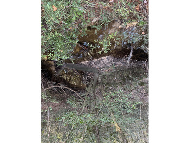 (private lake, pond, creek) Acreage For Sale in Defuniak Springs Florida