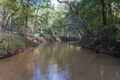 Build Your Dream in Creekrise! This is a rare opportunity for - photo 3
