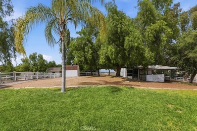If you've been searching for a beautifully upgraded horse - photo 29