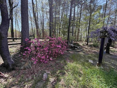 CUSTOM GOLF COURSE HOME on 2 replatted lots, on Indian Hills - photo 31
