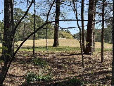 CUSTOM GOLF COURSE HOME on 2 replatted lots, on Indian Hills - photo 49