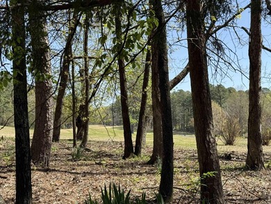 CUSTOM GOLF COURSE HOME on 2 replatted lots, on Indian Hills - photo 50