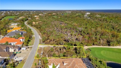Build your dream home in this prestigious golf course community - photo 8
