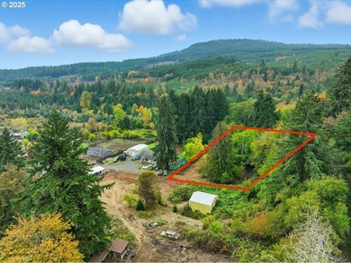 Henry Hagg Lake Lot For Sale in Gaston Oregon