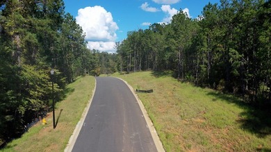 Build Your Dream in Creekrise! This is a rare opportunity for - photo 4