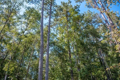 Build Your Dream in Creekrise! This is a rare opportunity for - photo 6