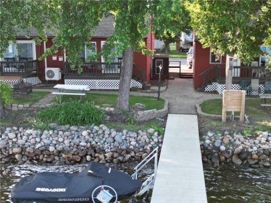 Lake Minnewaska Home For Sale in Long Beach Minnesota