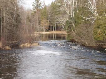Flambeau River - Price County Acreage For Sale in Park Falls Wisconsin
