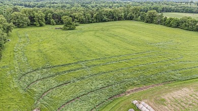 Turnkey 3-house Tyson contracted broiler farm on 30+/- acres in - photo 23