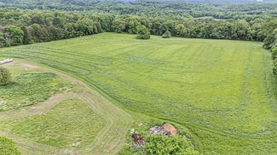 Turnkey 3-house Tyson contracted broiler farm on 30+/- acres in - photo 26