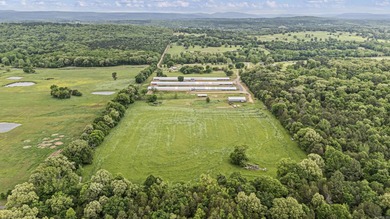 Turnkey 3-house Tyson contracted broiler farm on 30+/- acres in - photo 30