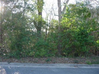 Chattahoochee River - Lee County Lot For Sale in Phenix City Alabama