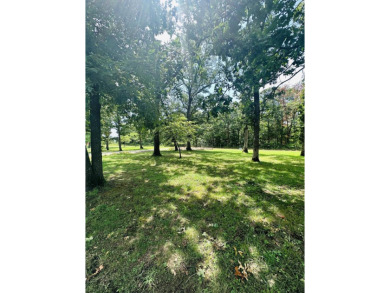 Looking for a home near Pomme De Terre Lake?? Look no further