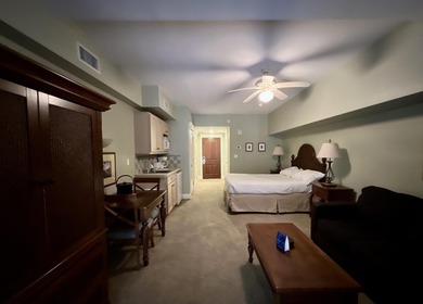 This studio REO property rests in the heart of the ever popular - photo 2
