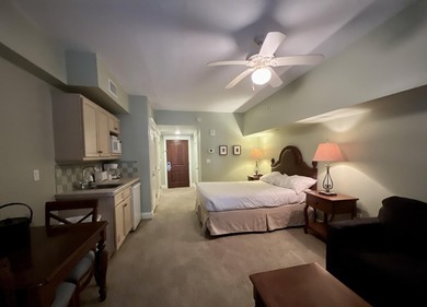This studio REO property rests in the heart of the ever popular - photo 5