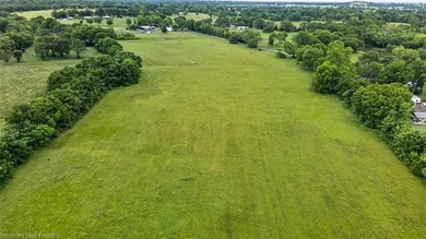 20.6 +/- acres of level improved pasture with a pond just 1.6 - photo 7