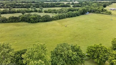 20.6 +/- acres of level improved pasture with a pond just 1.6 - photo 9