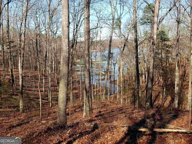Discover a private 2.06-acre lakefront tract offering - photo 7