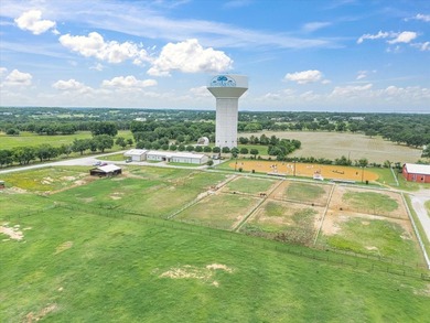 Located in the heart of Flower Mound, this 18+/- acre horse - photo 6