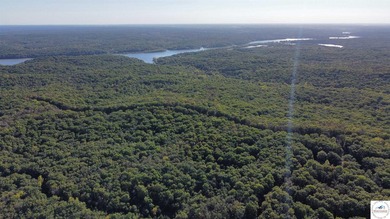 The property featured 80 +/- acres with more available for - photo 17