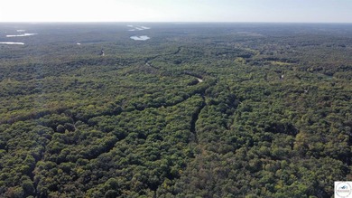 The property featured 80 +/- acres with more available for - photo 18