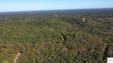 The property featured 80 +/- acres with more available for - photo 20