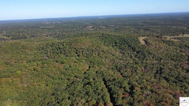 The property featured 80 +/- acres with more available for - photo 21